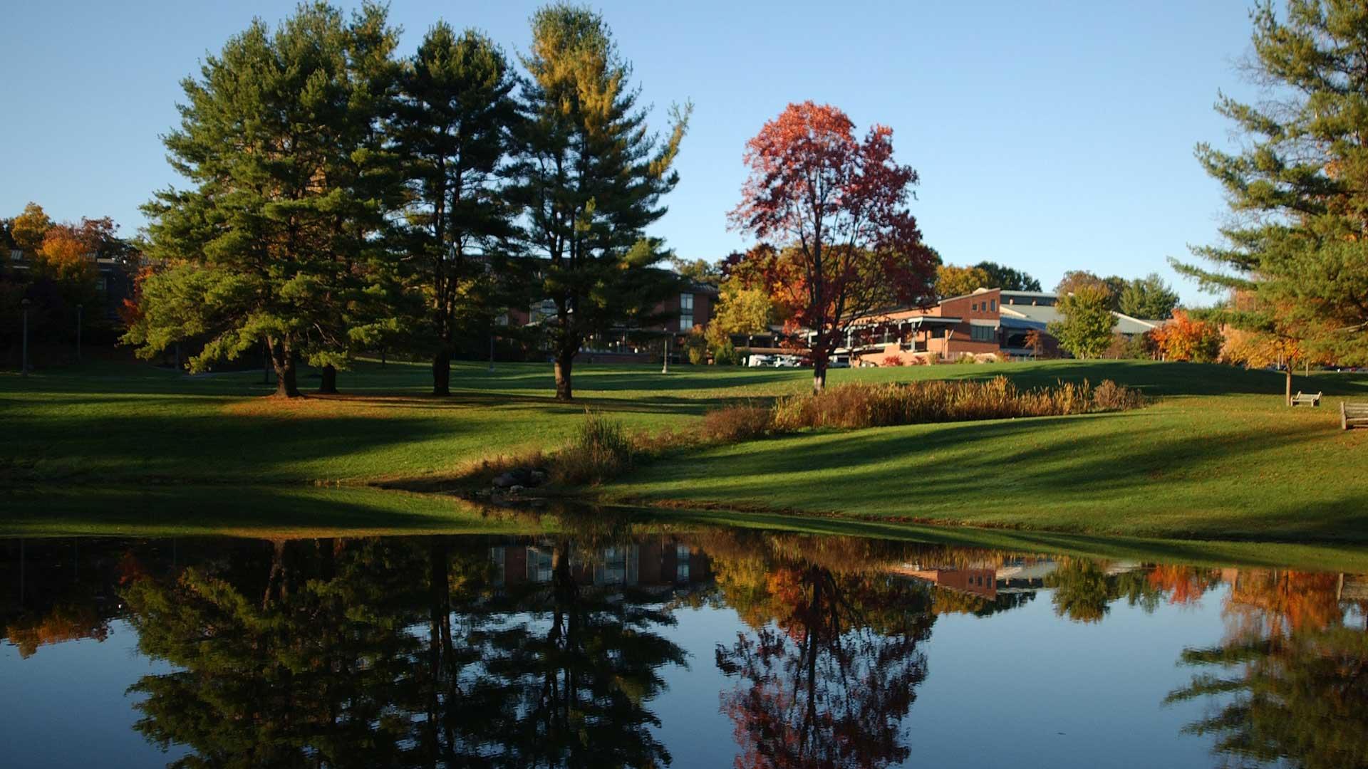 pond picture